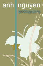 Anh Nguyen Photography